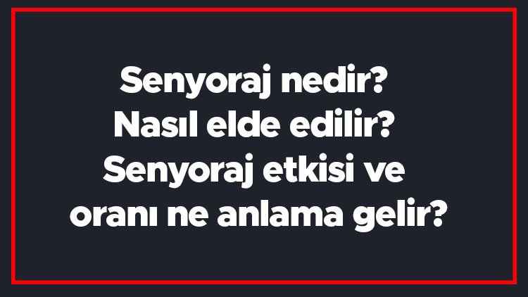 Senyoraj Rehberi: Paranın Gizli Kazancı ve Ekonomiye Etkisi [2026]